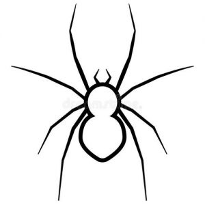 如何画蜘蛛 蜘蛛的外形特征