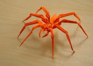 蜘蛛怎么折 怎么用纸做一只立体黑蜘蛛