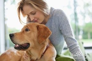 如何和狗狗培养感情 训犬18种图及手势