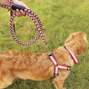 自制遛狗绳的做法教程 遛狗绳的做法