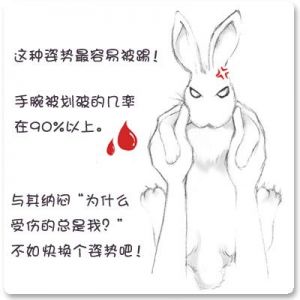 正确抱兔兔的方法 为什么兔子会故意甩尿到主人身上