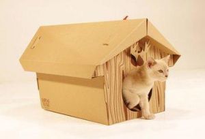 用箱子做豪华猫窝步骤 自制猫咪房间