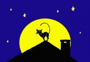 半夜12点听到猫叫民间说法 晚上听到猫叫要死人