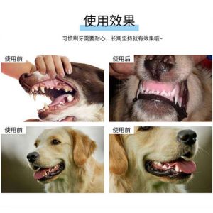 用什么可以代替牙膏给狗狗刷牙 牙膏和盐刷牙什么好处