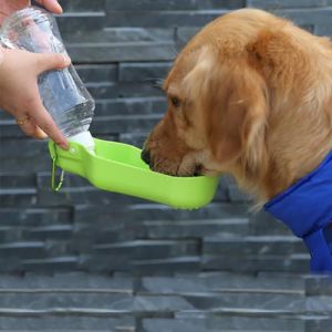幼犬得了细小能喝水吗 狗狗得了细小怎么办