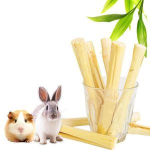 兔子能要木头筷子磨牙吗 龙猫给它木头磨牙