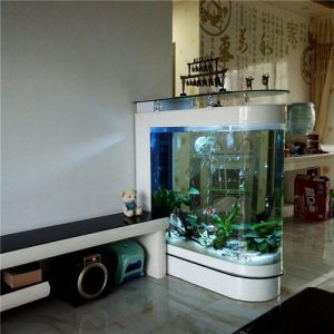 客厅哪个位置放鱼缸好 家庭鱼缸的最佳摆放位置