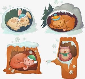 冬眠过冬的动物有哪些 换毛过冬的动物有哪些