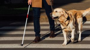 上海导盲犬排尿 超市拒绝盲人带导盲犬