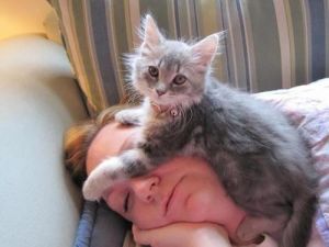 猫咪上床习惯怎么纠正 猫咪一只眼睛发炎怎么紧急处理