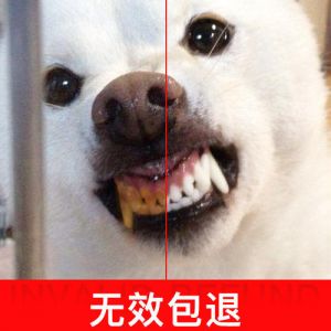 狗狗牙上有牙垢口臭怎么办 怎么软化狗狗牙结石
